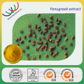 Free samples fenugreek extract powder 4-hydroxy isoleucine common fenugreek extract                        
                                                Quality Choice